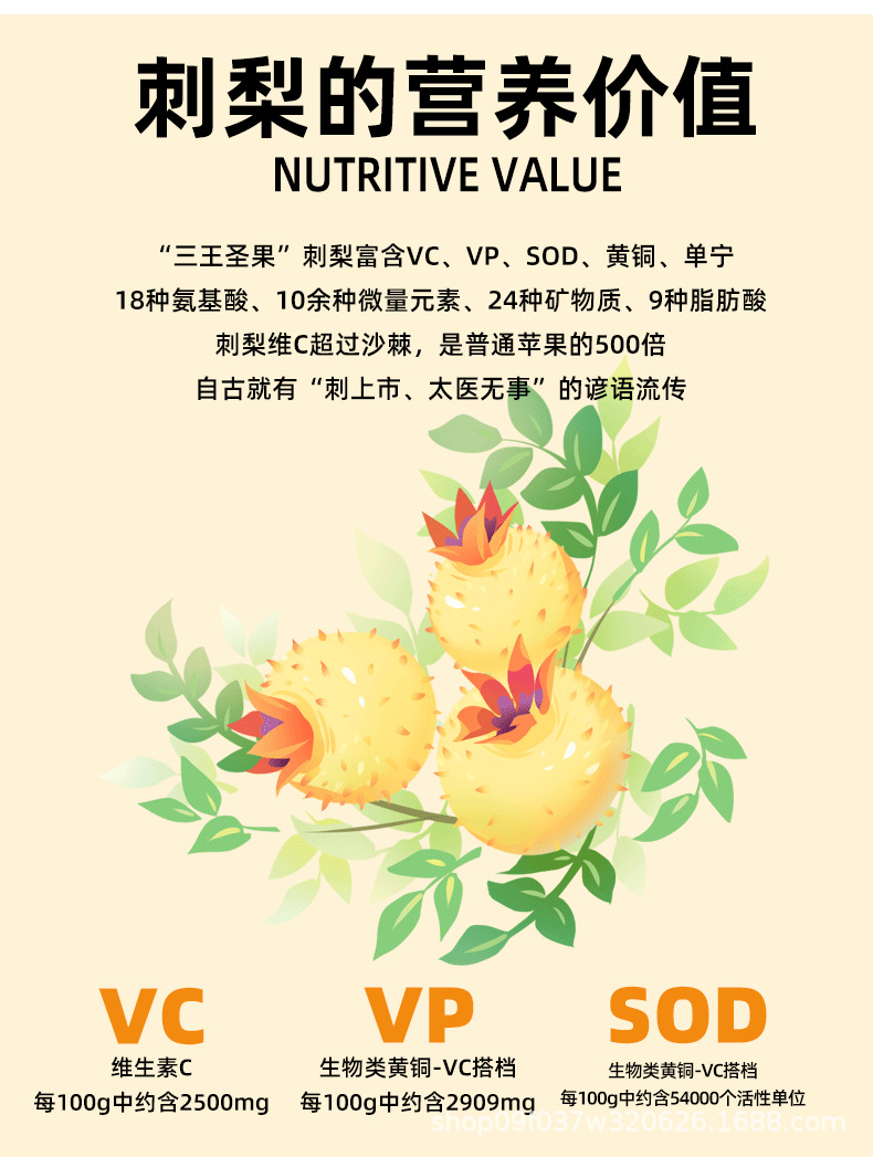 Wild Cili Fruit Dried Rosa roxburghii Tea and Wine Herb Ci Li 500g Large Grade key features