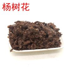 杨树花 中药材 杨树须 杨树芽 杨树花 杨