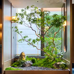 ��SSS�������R��ľ���ͼ٘��쾰�҃ș�����ؾ��^�Gֲ���b�