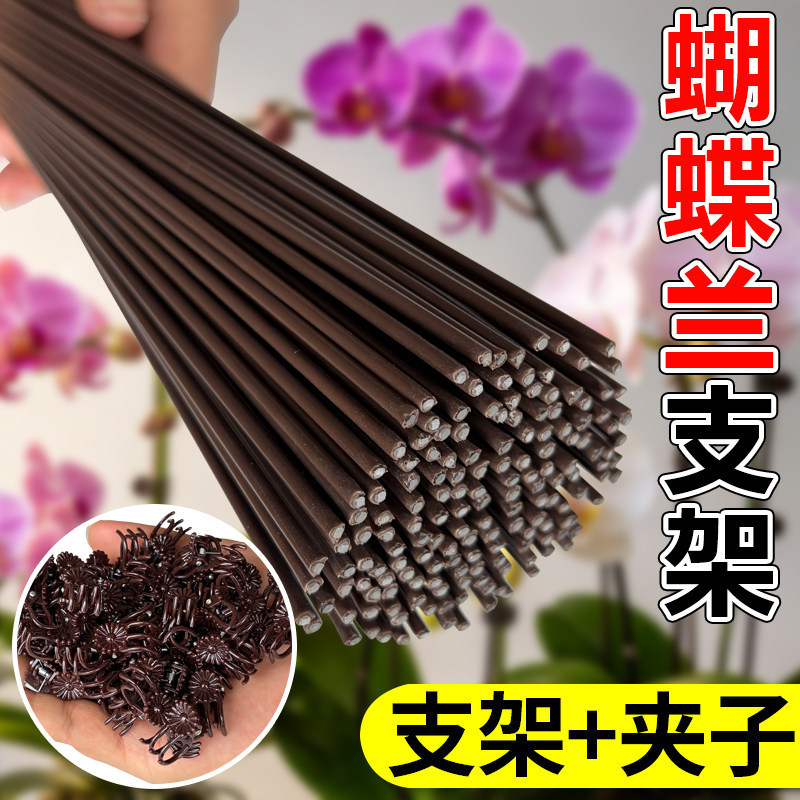 蝴蝶兰支架支撑杆造型架子园艺花卉兰草花枝夹子蔓藤爬藤植物固定