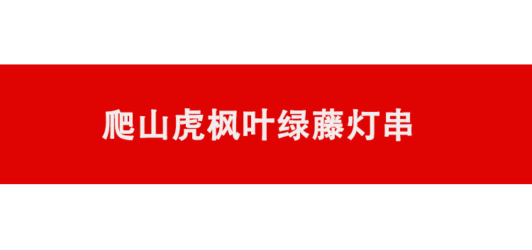 亚马逊led户外庭院装饰藤条灯 新款绿叶藤彩灯 太阳能枫叶藤灯串详情33