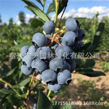 {ݮشϷNֲW᠖{ݮ{ݮ玧