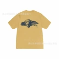 2066 yellow