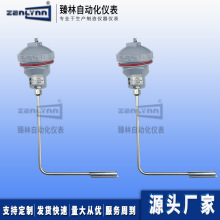 L型传感器管壁式WZP-136管道贴片pt100热电阻电伴热带用铂热电阻