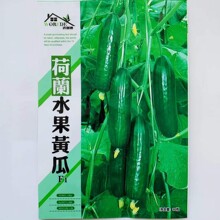 无刺水果黄瓜种子进口小黄瓜种籽寿光四季阳台春季菜种子蔬菜种孑