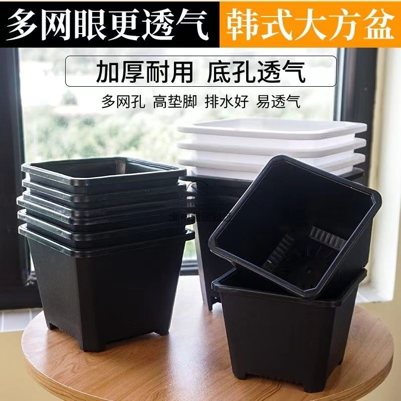 Square black white flowerpot flower-shaped