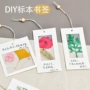 纪念学生压花手工书签