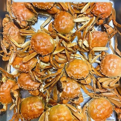 Crab 30 Panjin Fresh Large Crab Fresh Crabs June Paddy crab Gift box Independent