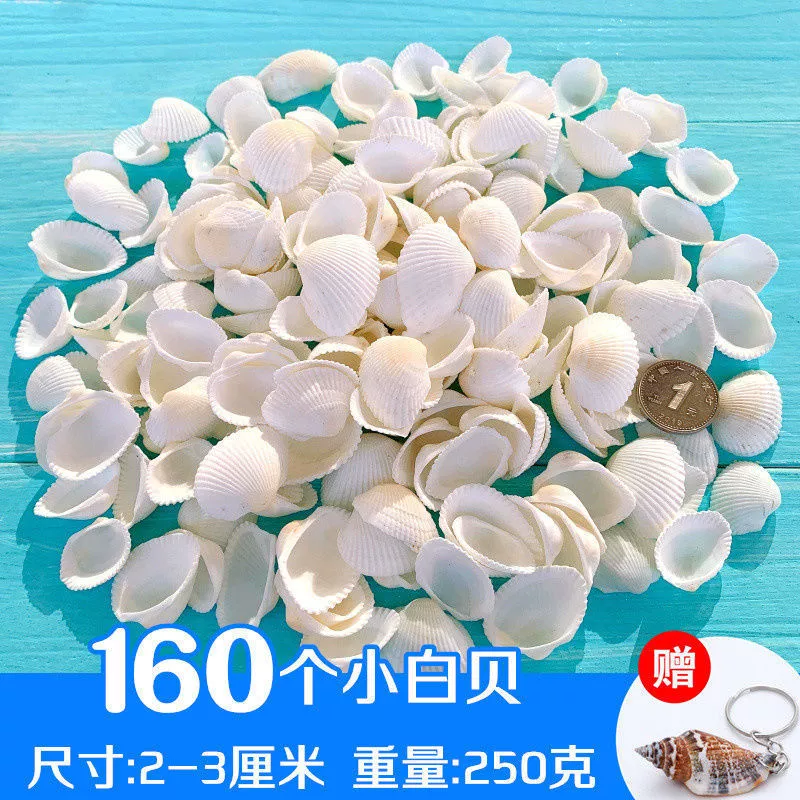 Aquarium decor, materials set for swimming, starfish
