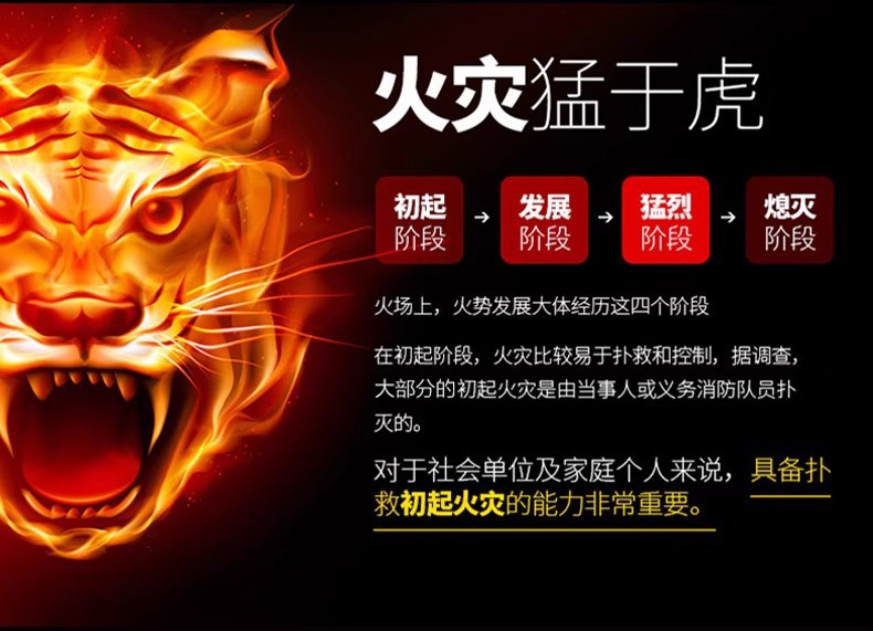 Vehicle-Mounted Fire Extinguisher for Private Cars 21B Water-Based Vehicle-Mounted Small Car Household Convenient In-Car Fire-Fighting Equipment