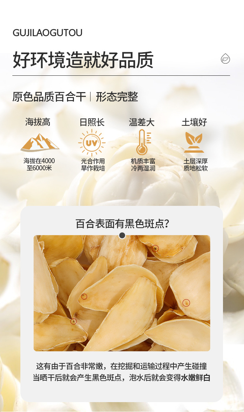 Dried Lily Bulb Large Slices Sulfur Free Bai He for Soup and Tea 200g overview