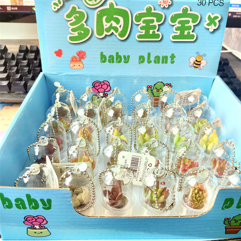 Mini Succulent Plant Pendant Creative Small Potted Plant Miniature Landscape Pendant Glass Bottle Keychain Student Gift