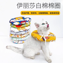 狗狗牵引;狗狗罐头零食;伊丽莎白圈