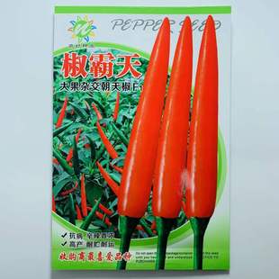 ������콷������̖�͸ߜ�Ӳ���߮a�����N��С�����������콷