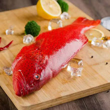 冰鮮紅東星斑海鮮新鮮鮮活冷凍深海魚海南石斑魚餐廳酒樓一件代發
