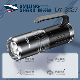 手电筒;头灯头戴电筒;野营/露营灯