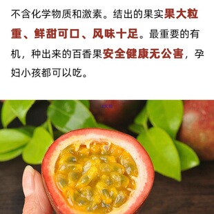 ��������Ϸ��ЙC�ͺϷ�ͥԺ�����u�����I�BҺ���w����ጷ���