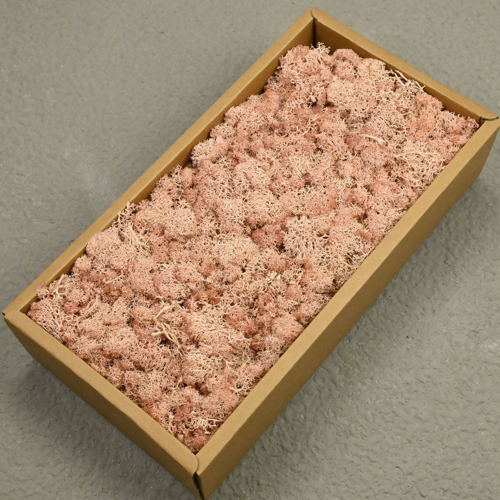 Bean paste color