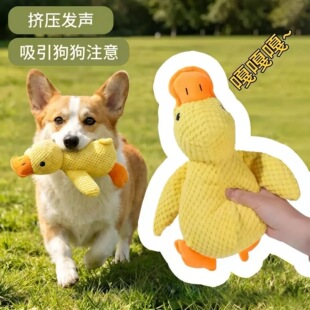 �������С�S��ë�q������˽␞��ҧ�l��߹�����˯���������