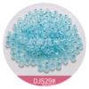 DS29