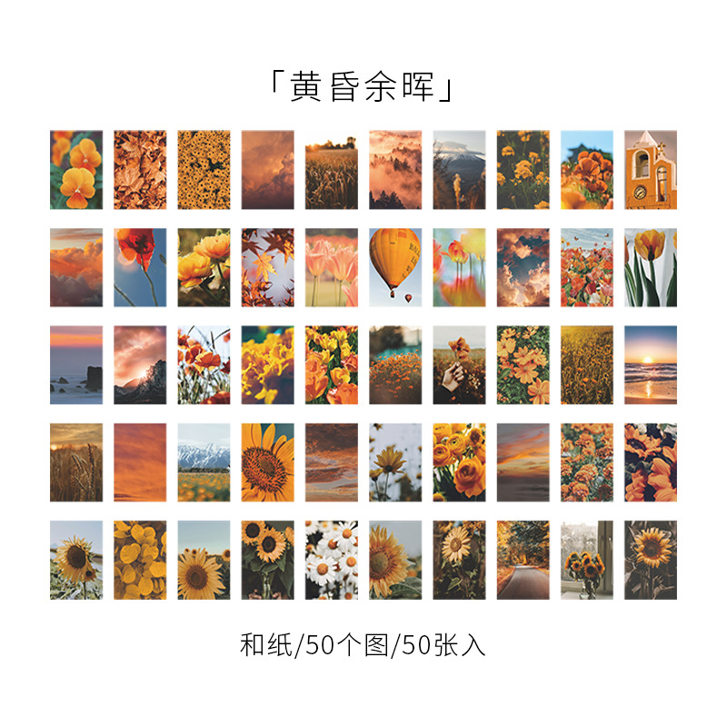 Hermoso día pegatina libro jardín estrella serie ins fresco diario DIY material decorativo pegatina Libro 8