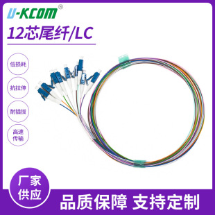 Multimode Fiber Jumper Pigtail 12 Core OM3 OM4 Multimode LC Bundle Pigtail Telecom Grade Network Fiber Jumper