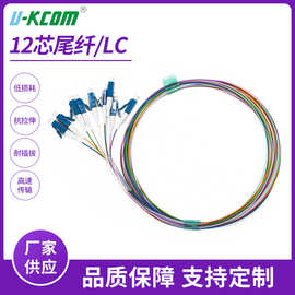 多模光纤跳线尾纤12芯OM3 OM4多模LC束状尾纤电信级网络光纤跳线