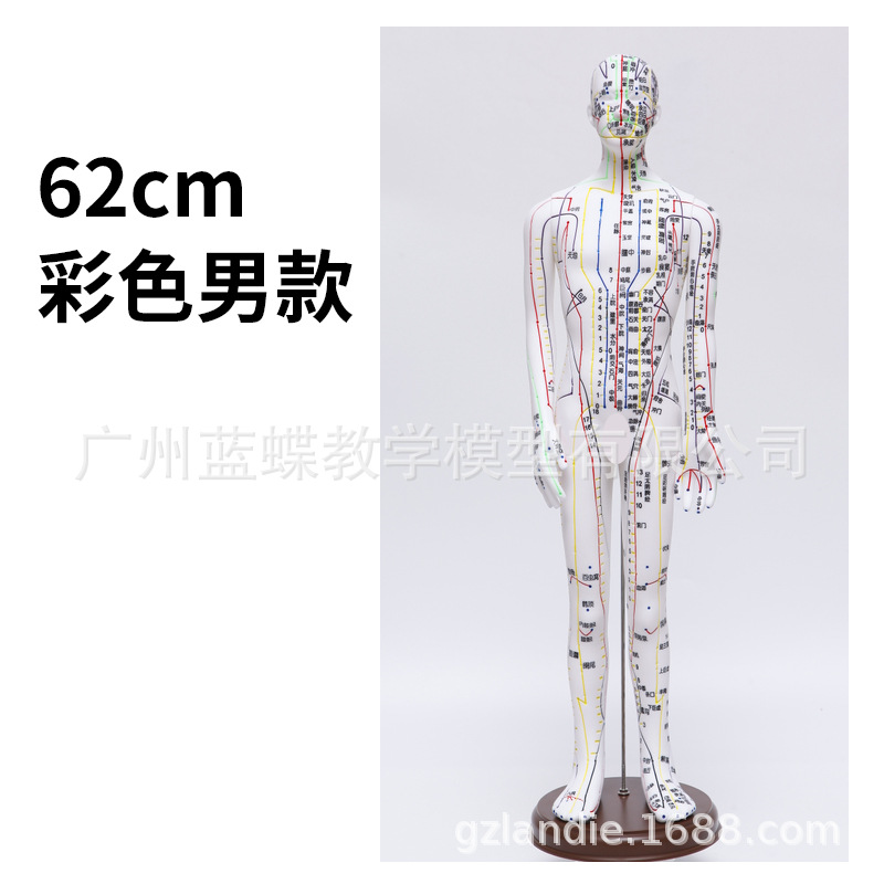 �������ģ���˾���Ѩλ��ҽȫ��ʮ��ͭ��ģ��ͼ��������ϰСƤ��