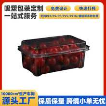 ����͸�����wPET���� ��ݮ�{ݮˮ����һ����ʳƷ����������ܶ���