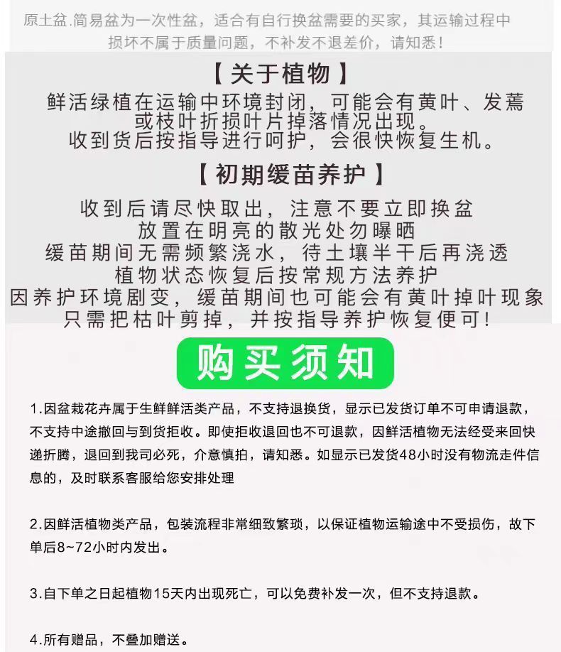 03e92e3f-8791-4f66-bf83-26643e4c098b.jpe