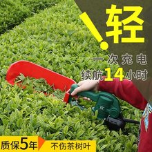 无刷电动采茶机单人手提便携式修剪机充电式绿篱机小型茶叶采摘机