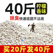 ����؈ɰ40���������w������̿�͉m������20��؈ɰ1��
