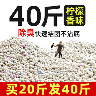 Factory deodorant cat litter 40kg bentonite large particle activated carbon low dust fragrance type 20kg cat litter 1kg postage