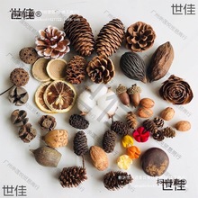 松果手工diy材料木段酒店创意干支枝条制果软装标本松塔民麦太保