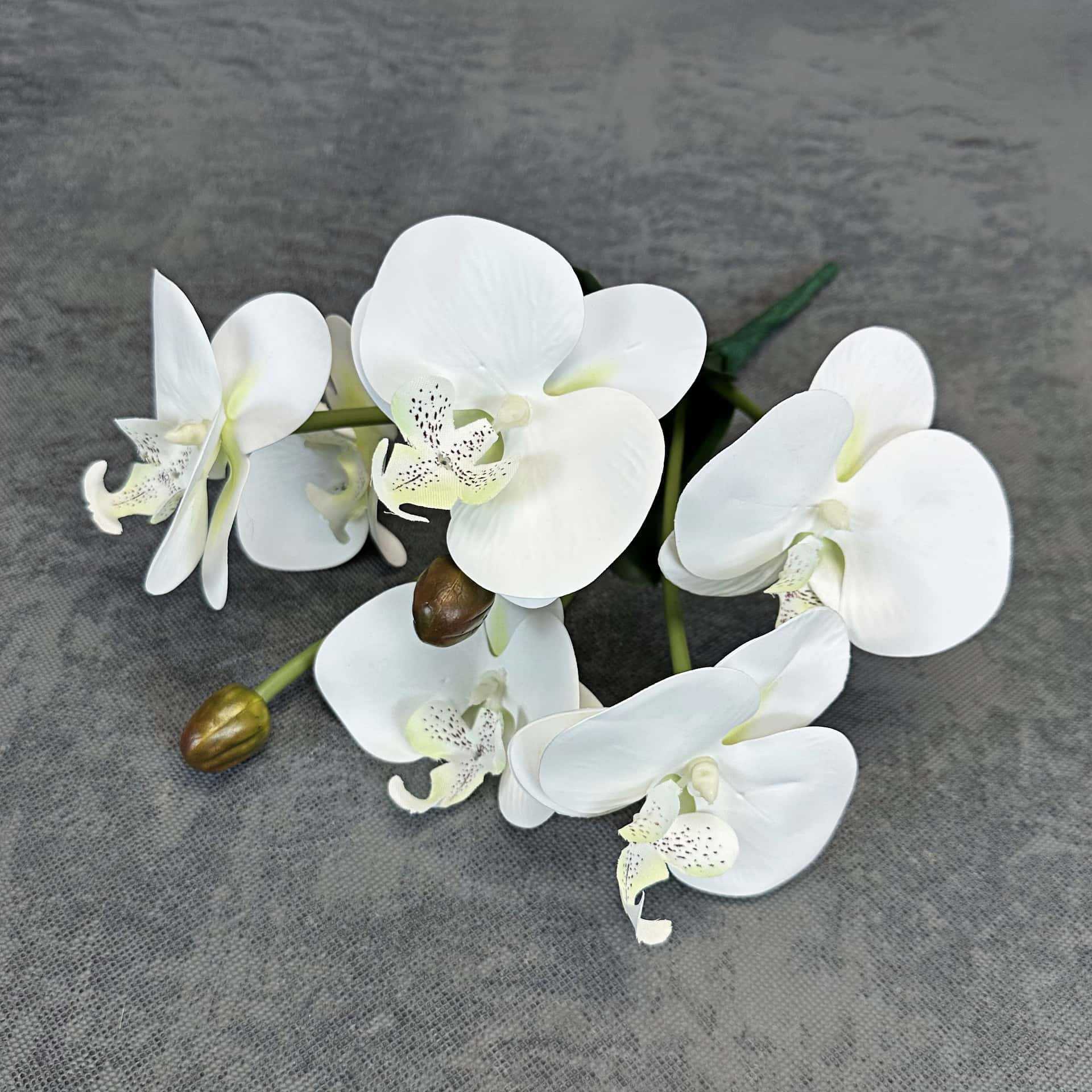 Simulación de impresión 3D orquídea mariposa en maceta decoración de la sala de estar accesorios adornos de flores falsas transfronterizas al por mayor