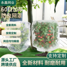 跨境果树植物防虫网罩60目加厚果园庭院防虫网袋防虫防鸟网