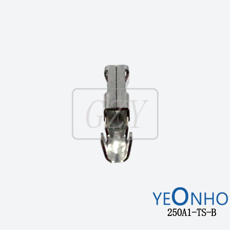 Ӧ250A1-TS-B ѹŶ YEONHO/Ȼ ɶ