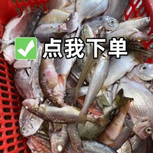 ����Ʒ�|����Ұ���S�C�\���s�~��S����\ݔ���rˮ�a�r���K�~�S�~