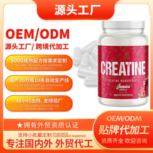 �羳�z�ҁ��R�d����Micronized Creatine Powderˮ�����oem�N��