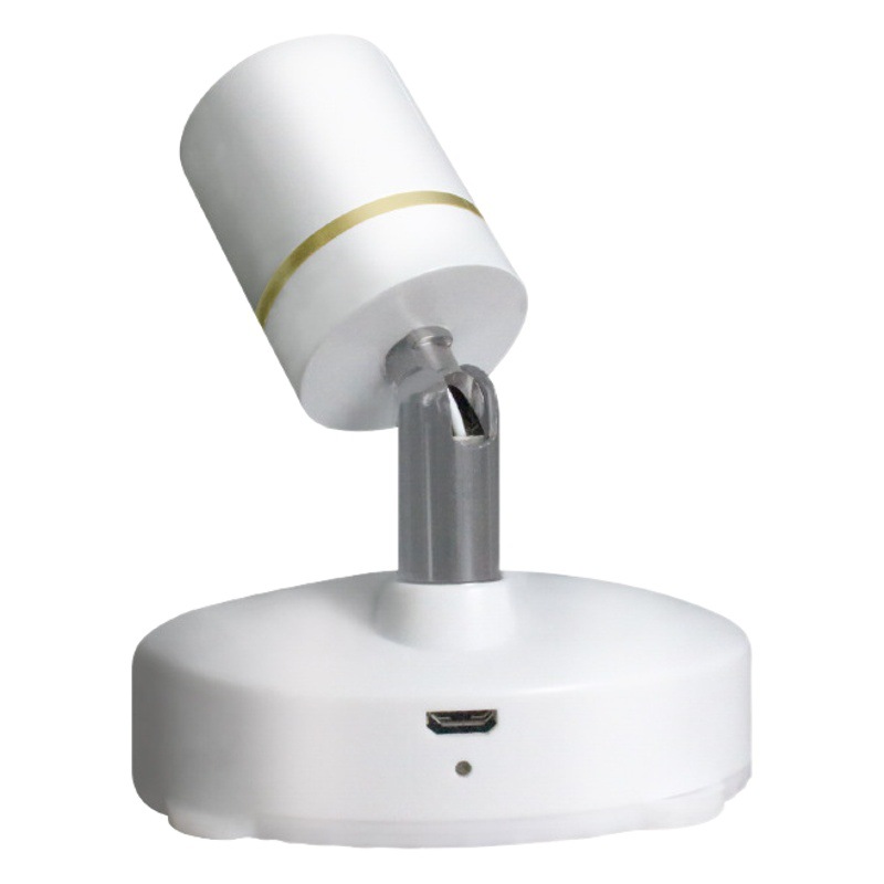 Luz de proyección LED transfronteriza, carga inalámbrica, control remoto, iluminación para árboles, luz decorativa para plantas, foco, foco LED de montaje en superficie.