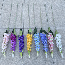 ��֧6��`���L���� ���滨 ��c�Ӽ��bٻ� ���l