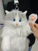 Grey Ragdoll Cat