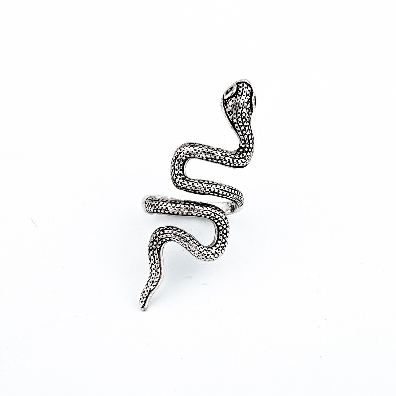 Zinc alloy Material Simple Style Commute Snake Zinc Alloy Stoving Varnish Men's Rings