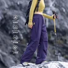 IZEXX潮牌户外登山裤休闲男士加绒秋冬季宽松束脚休闲潮流冲锋裤