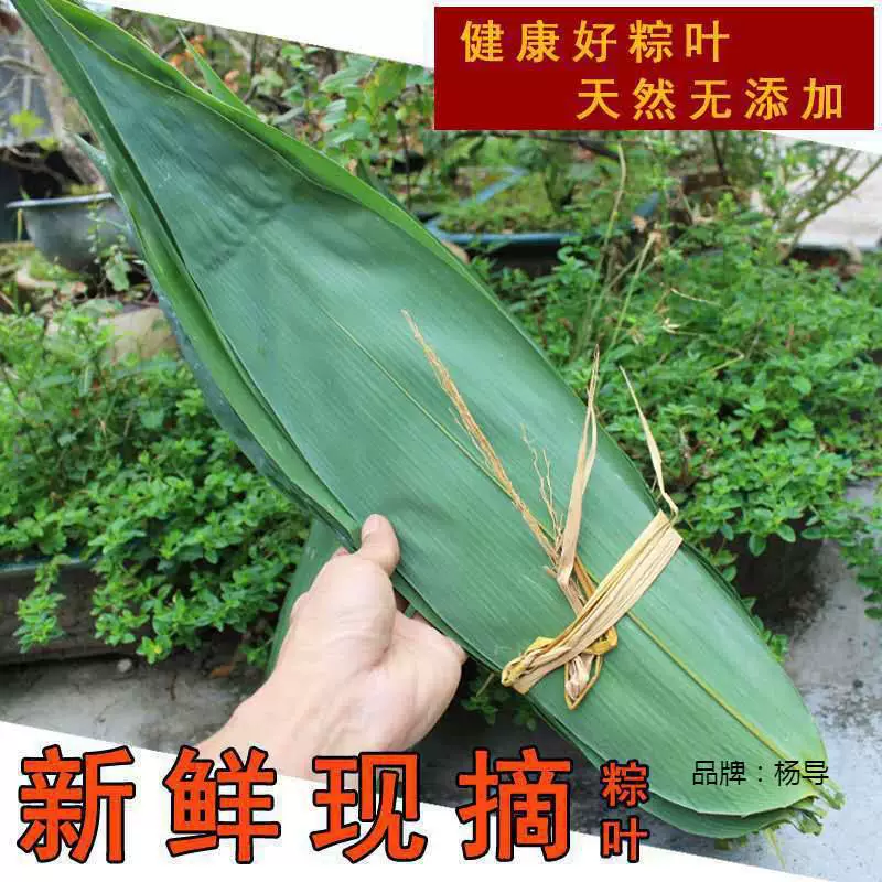 Свежий большой zongye Цзянси коричневый лист Zongzi лист indocalamus лист не высыхающий zongye 100 вакуумная Бесплатная доставка Линия доставки zongye