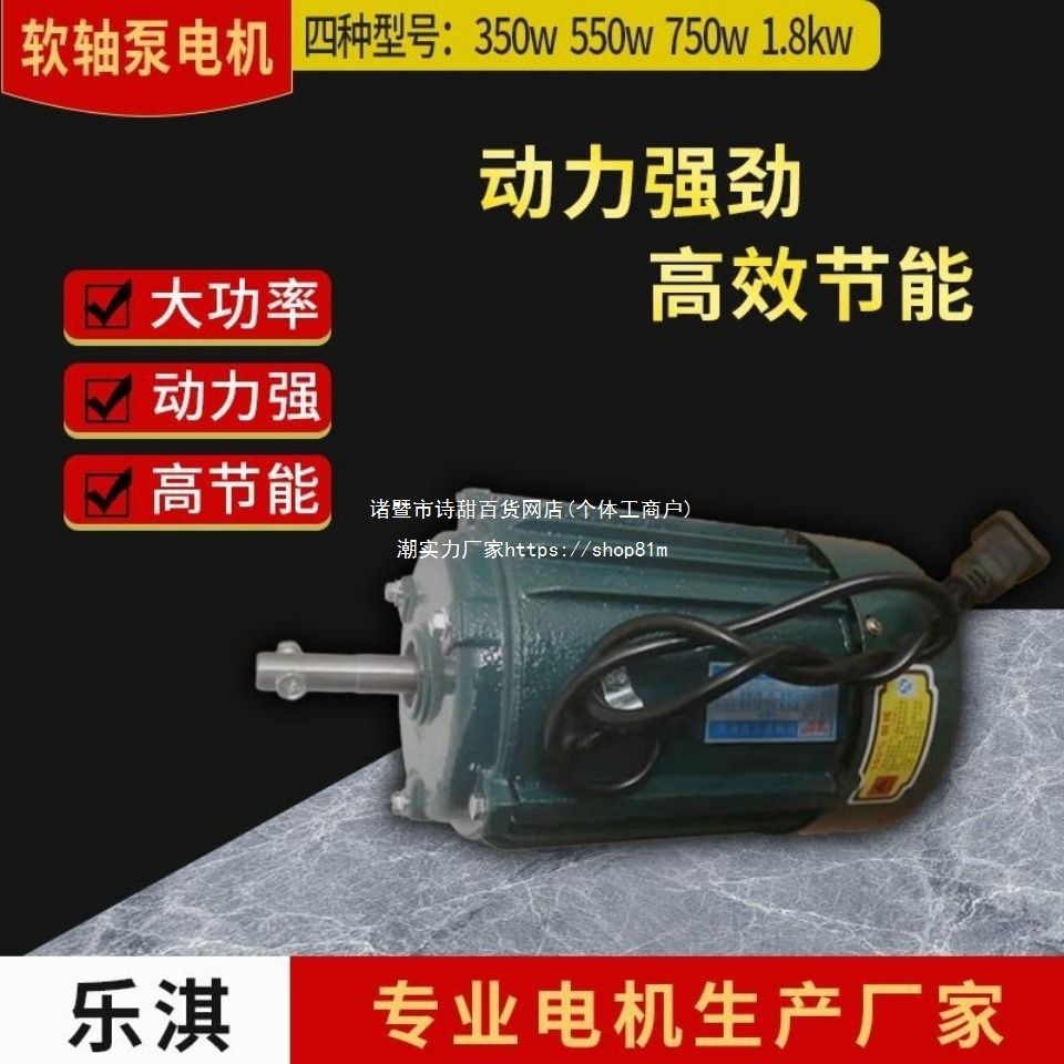 软轴泵增压泵转转泵节能省电防冻抗旱铸铁铝壳铜线铝线电机