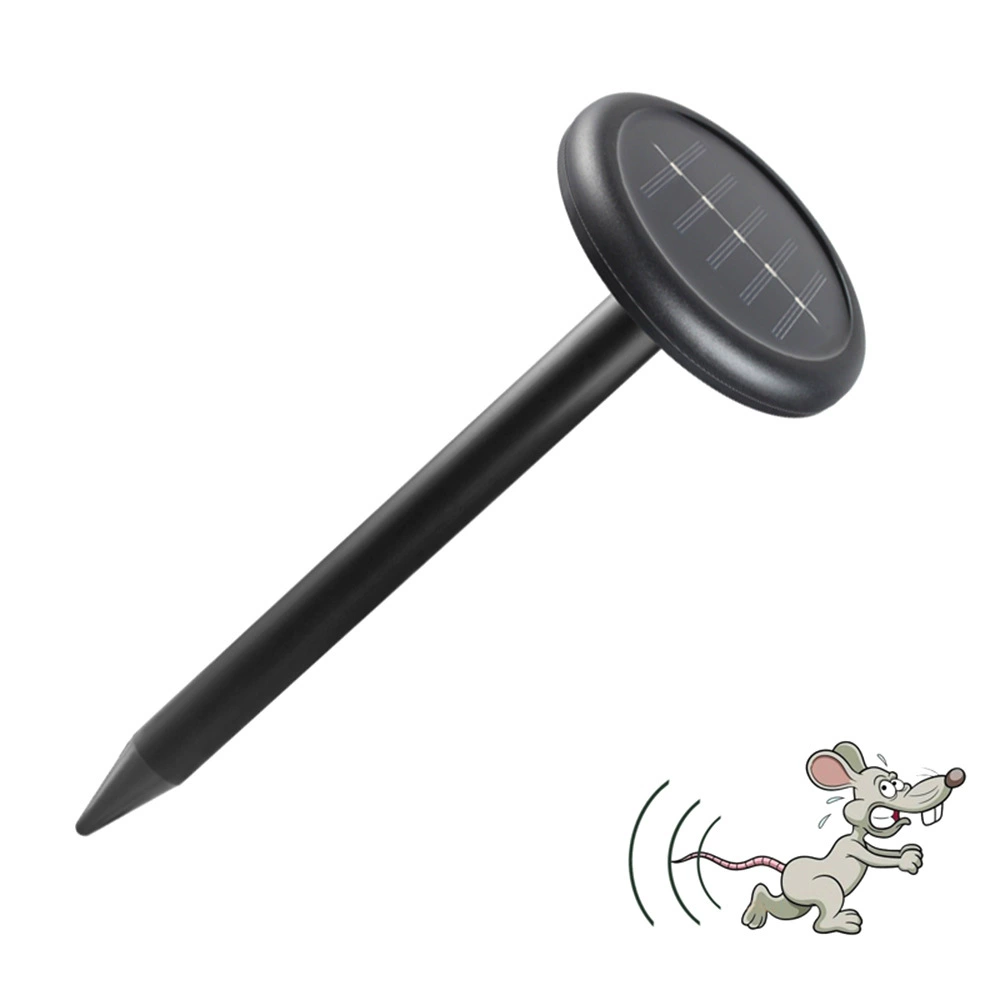 /，