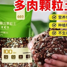 ���⌣���w��������ֲ��I�B���������ʯ�~�弃�w���Nֲ�������|