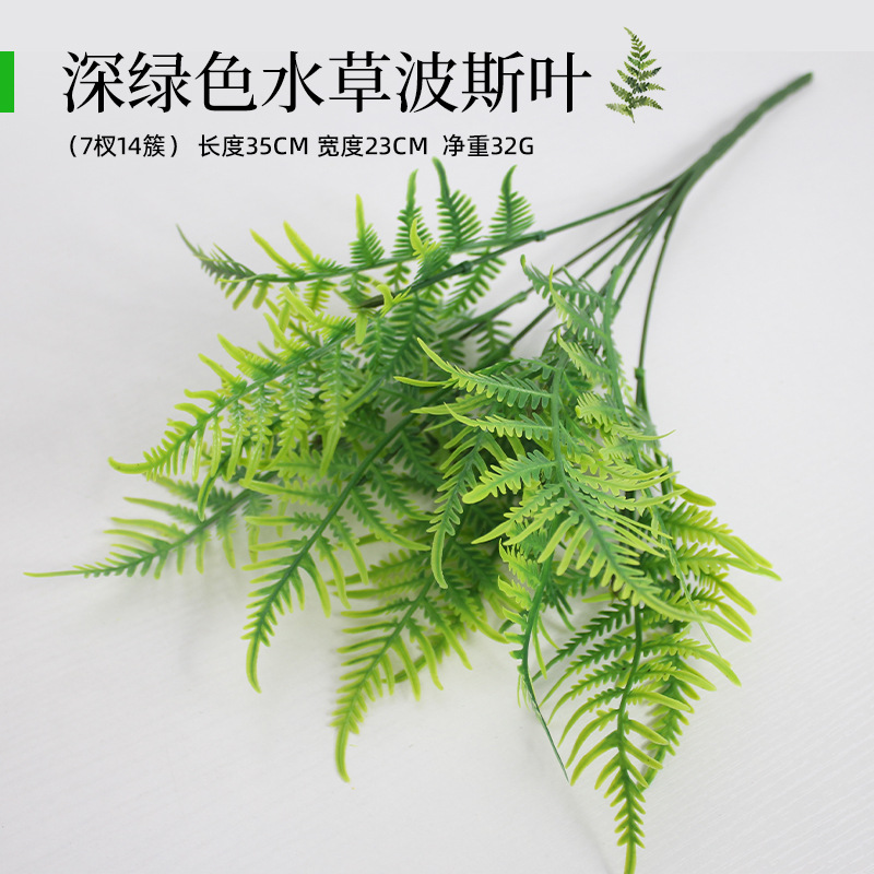 Persa acuático verde oscuro