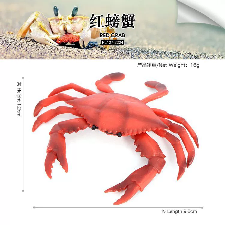 Реалистичная морская животная модель, обучающая игрушка, морское дно